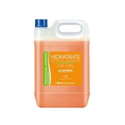 Champú Hidratante Artero 5 L