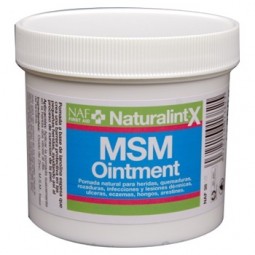 MSM Ointment 250 Gr