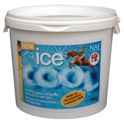 Ice Cool 3 Kg