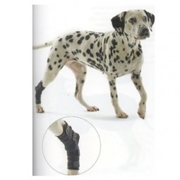 Protector de Jarrete KRUUSE Rehab