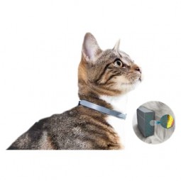 Seresto Collar Gatos