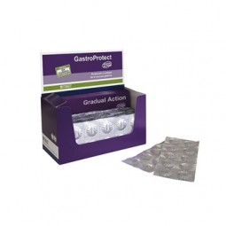 Gastro Protect 120 Comprimidos