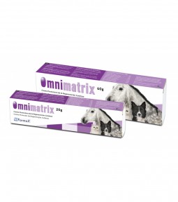 Omnimatrix 20 Gramos