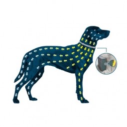 Seresto Collar 38 cm 12 Collares (Envase Clínico)