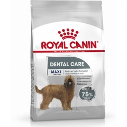 Royal Canin Maxi Dental Care