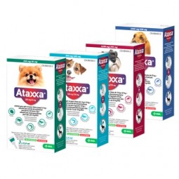 Ataxxa 1250/250 Mg 10-25 KG 3 Pipetas