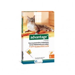 Advantage 40 gatos 1 a 4 kg 4 pipetas