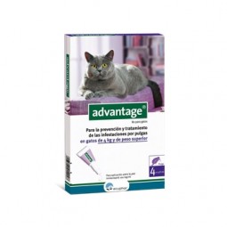 Advantage 80 gatos 4 a 8 kg 4 pipetas
