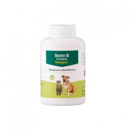 Biotin B Complex 300 Comprimidos