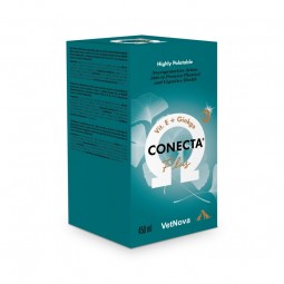 Conecta Plus