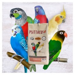 Pienso Psittacus Wet & Dry Microspheres 20/10 3 kg