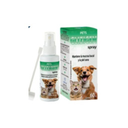 Glizigen Spray 60 ml