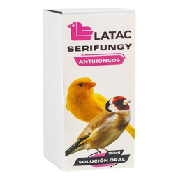 Serifungy 150 ML Latac