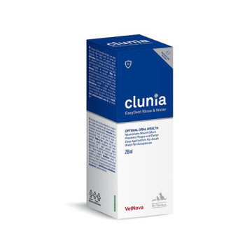 CLUNIA EASY DENT SPRAY 60 ML