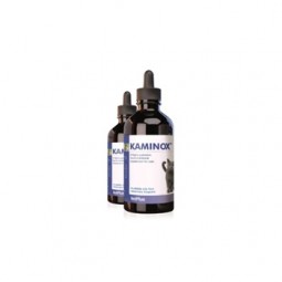 Kaminox 120 ml