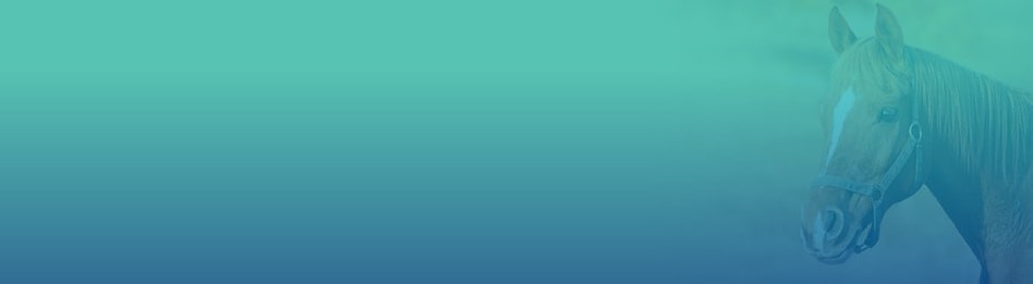 Sistema Digestivo : Farmacia Veterinaria