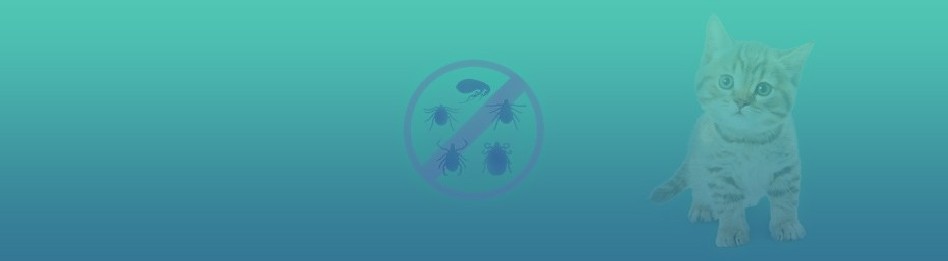 Farmacia veterinaria – Antiparasitarios para gatos