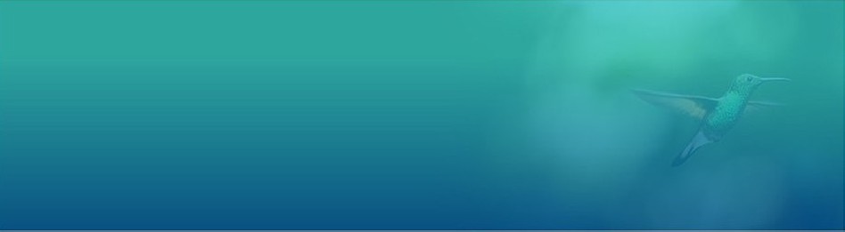 Higiene. Antiparasitarios Externos : Farmacia Veterinaria