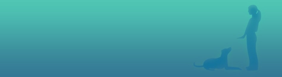 Farmacia veterinaria – Educación para perros