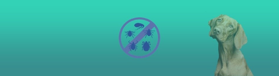 Farmacia veterinaria – Comprimidos antiparasitarios para perros