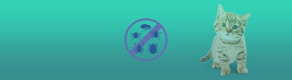 Farmacia veterinaria – Comprimidos antiparasitarios para gatos