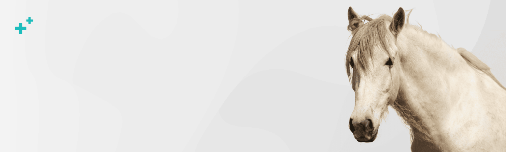 Farmacia veterinaria – medicamentos para caballos