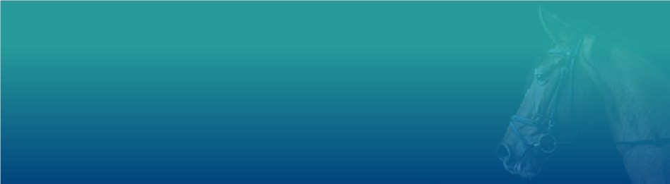 Farmacia veterinaria – Antiparasitarios para caballos