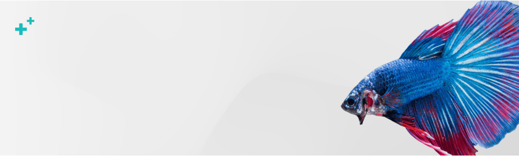 Farmacia veterinaria – Medicamentos y Productos para otros animales