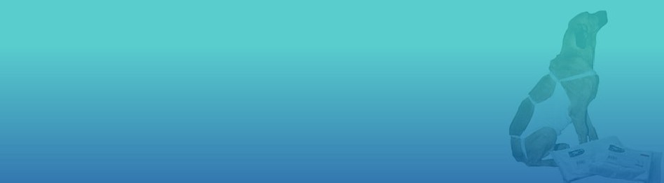 Veterinary Instruments and Consumables