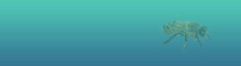 Farmacia veterinaria – tratamientos para abejas y colmenas