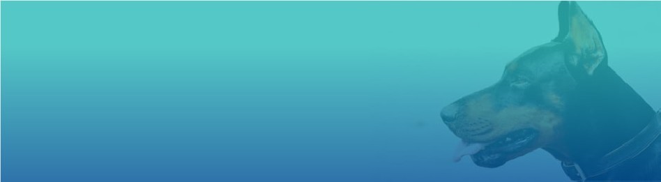 Farmacia veterinaria – lector microchip