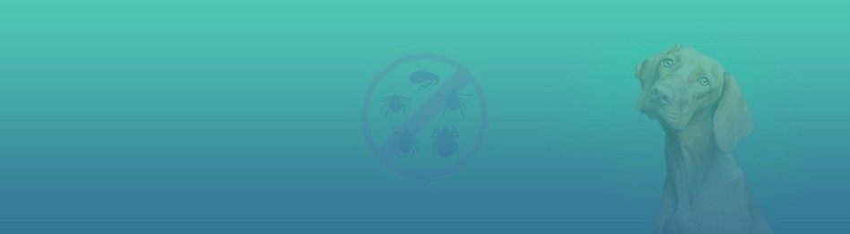 Farmacia veterinaria – Antiparasitarios para perros